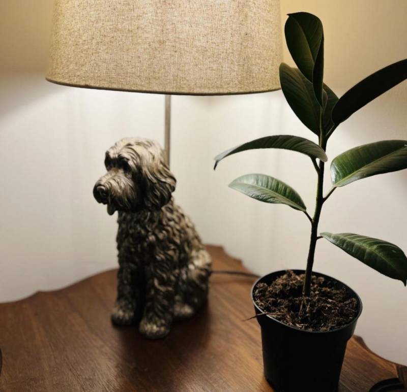 Amenities & services - St Duthus Villa Guesthouse