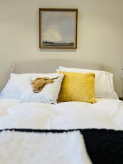 Deluxe Double Room with Shower24