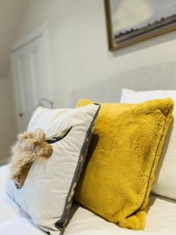 Deluxe Double Room with Shower25