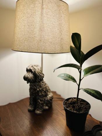 St Duthus Villa Guesthouse15